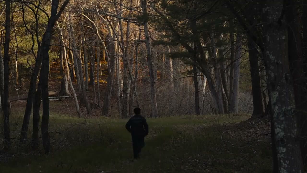 A wooded scene from Jens’s reel